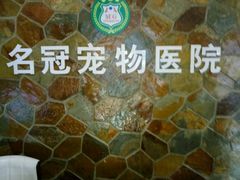 -宠颐生宠物医院·综合诊疗(先锋分院)