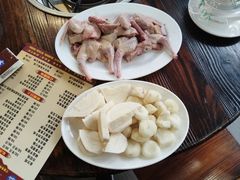 -南海鸽天下(肇庆店)