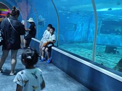 -北戴河圣蓝海洋公园