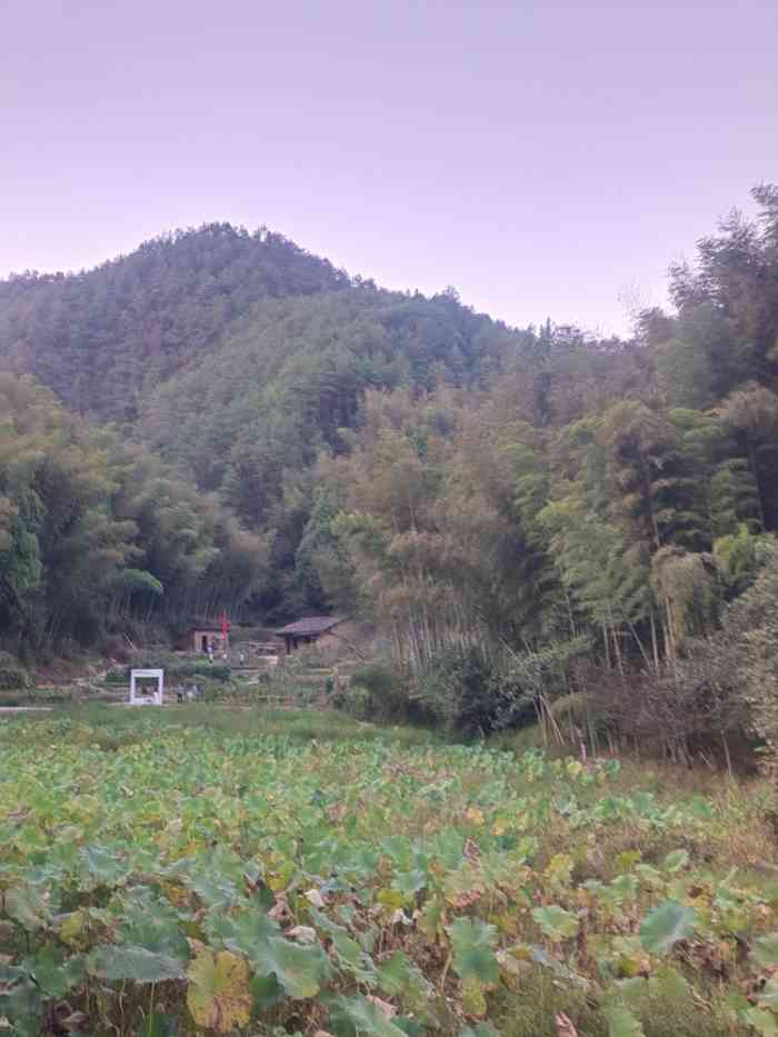 05050505 打卡电影《我和我的家乡》最后一颗,下姜村取景地