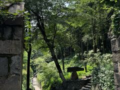 -莫干山风景区
