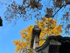 -惠山古镇·寄畅园