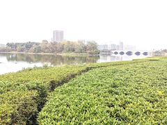 -飞来湖湿地公园