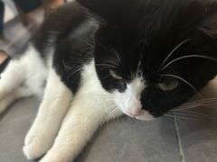 -原田新料理(1912店)