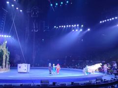 -广州长隆国际大马戏