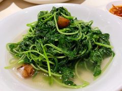 上汤蒜子泡苋菜-利苑酒家(华熙国际店)