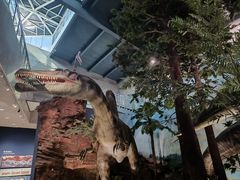 -湖南省地质博物馆