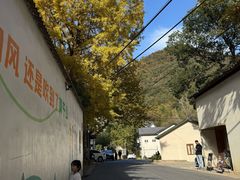 -莫干山风景区