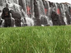 -东方绿舟景区