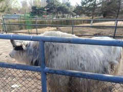 -长白岛森林公园