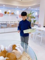 -Moni星球萌宠·小马宝莉·灵蛇·高端高阶全萌宠互动体验俱乐部(红豆国际广场店)