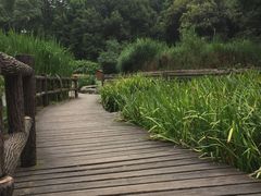 -成都市活水公园