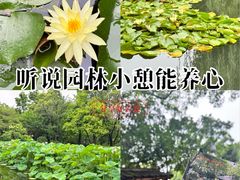 -秋霞圃