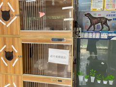 -A猫a狗全科·犬猫异宠·芥西宠物医院(南开总院)