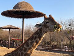 -济南野生动物世界