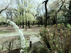 -井之头恩赐公园