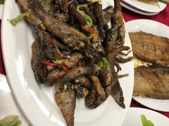 -蛇口康乐快餐鱼仔档(翠苑小区店)
