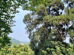-莫干山风景区