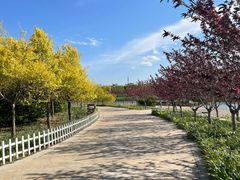 -天津东丽湖风景区