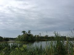 -白鹭湾湿地公园