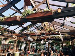 -The Grounds of Alexandria