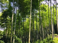 景点-杭州黄龙洞