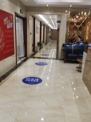 -碧莲盛·不剃发植发