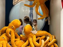 -宜家家居(四元桥商场店)