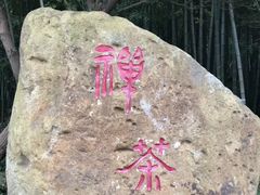 -东海大峡谷
