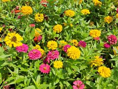 -玄武湖景区-情侣园游乐场