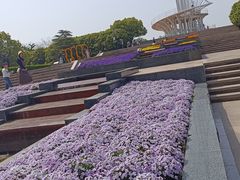 -东方绿舟景区