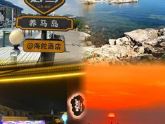 -养马岛旅游度假区