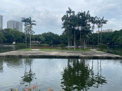 -荔湾湖公园