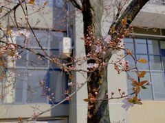 -长沙友阿奥特莱斯