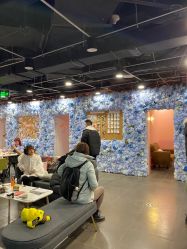 -doladola(徐家汇店)