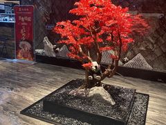 -红辣椒·川菜·火锅(大洋中心店)