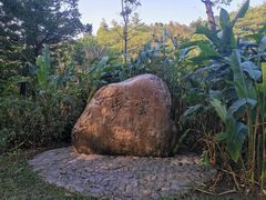 -云溪植物园