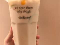 -猫的魔法密林(衣裳街店)
