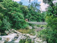 -海南热带雨林国家公园吊罗山景区
