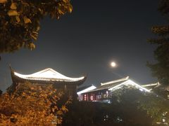 -苏城小院·园林精致苏州菜(斜塘老街店)