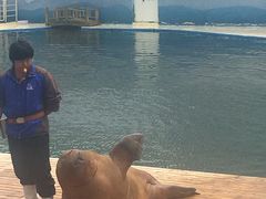 -北戴河圣蓝海洋公园