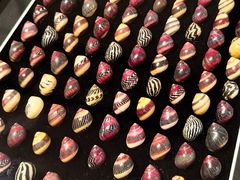 -摩登百货(岗顶店)