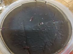-味为先光明乳鸽(光明总店)