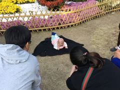 -汇龙潭