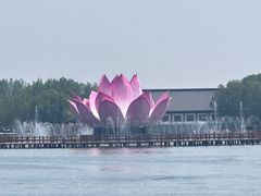 -白洋淀景区