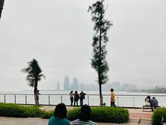 -万绿园