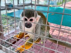 -水上乐园·欢乐世界