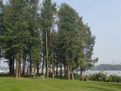 -宝界山林公园