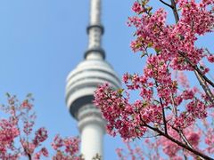 -龟山风景区-龟山电视塔