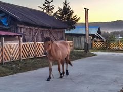 -北极村旅游风景区
